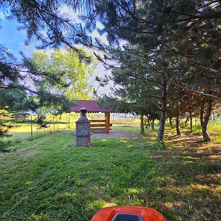 Apartamenty Jasmin I Lilia Jez. Sunowo Kolo Elku Chrzanowo Kültér fotó