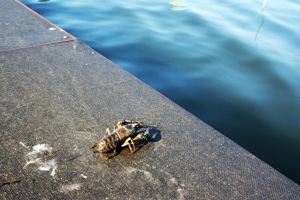 Apartamenty Jasmin I Lilia Jez. Sunowo Kolo Elku Chrzanowo Kültér fotó